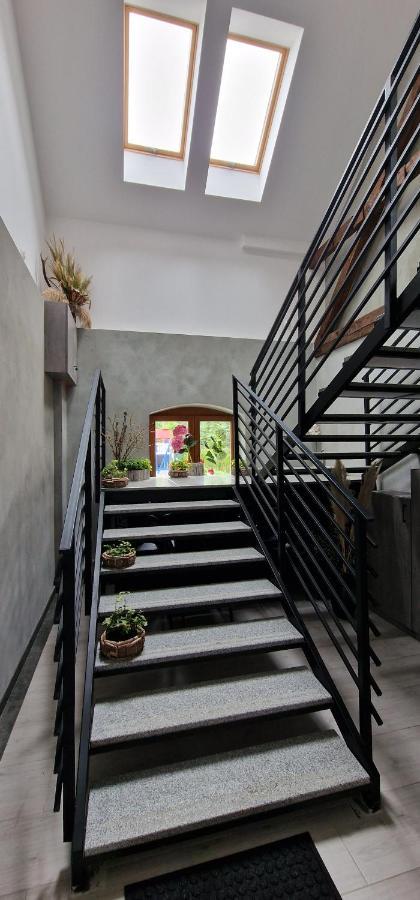 Zielona Ostoja Ulica Szpitalna 3C Apartment Kamieniec Zabkowicki Bagian luar foto